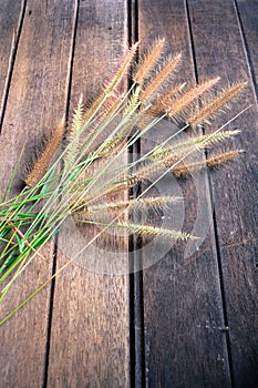 Grass on old wooden