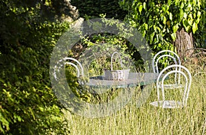 Grass overgrown metal garden furniture