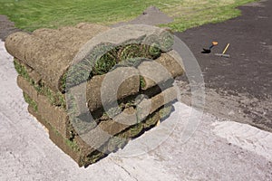 Grass on a pallet