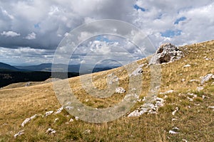 Grass pasture on slope of Vlasic mountain with some rocks