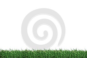 grass patch isolated on white background