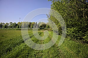 Grass path by the edge of a field