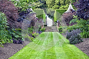 Grass path leading to stone stairs in a landscaped garden