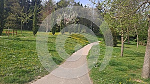 Grass path with trees