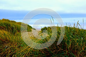 Grass Pathway to Beach