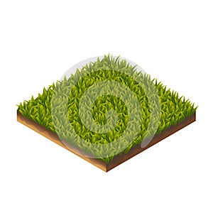 Grass Pattern Isometric