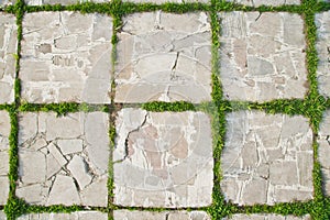 Grass on pavement slab