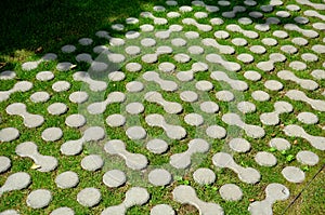 Grass pavers block tiles made of concrete in the shape of connected circles amoeba gray shape repeating in a grid serving the