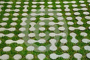 Grass pavers block tiles made of concrete in the shape of connected circles amoeba gray shape repeating in a grid serving the