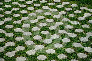 Grass pavers block tiles made of concrete in the shape of connected circles amoeba gray shape repeating in a grid serving the