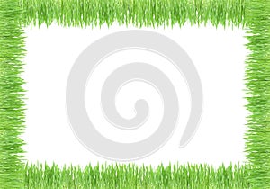 grass pcture frame