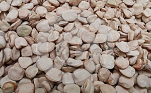 Grass pea - Lathyrus sativus