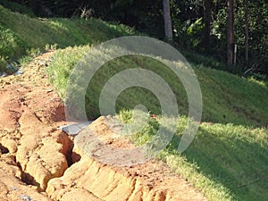 The grass is planted to prevent erosion of the soil slope.