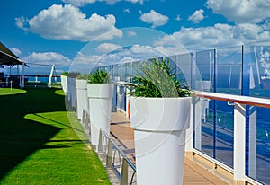 Grass Planters on Cruise Ship Deck