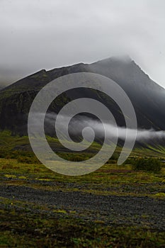 Grass, plants and bushes in the front. Mountain with fog in the