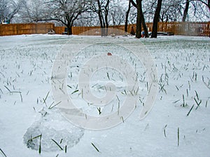 Grass pokes through ice covered snow in a backyard with a shoeprint, surrounded by a wood fence