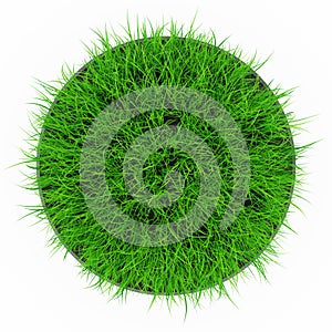 Grass pot top view