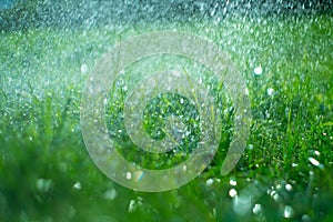 Grass with rain drops. Watering lawn. Rain. Blurred green grass background with water drops closeup. Nature. Environment