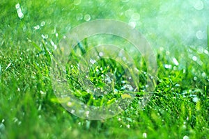 Grass with rain drops. Watering lawn. Rain. Blurred Grass Background With Water Drops closeup. Nature. Garden