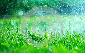 Grass with rain drops. Watering lawn. Rain. Blurred green grass background with water drops closeup. Nature. Environment