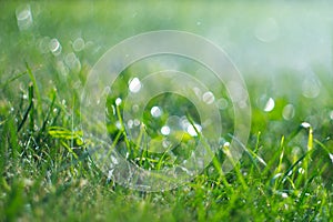 Grass with rain drops. Watering lawn. Rain. Blurred green grass background with water drops closeup. Nature. Environment