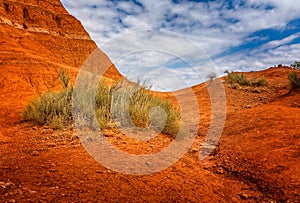 Grass on the red sandstone og the Palo Duro Canyon