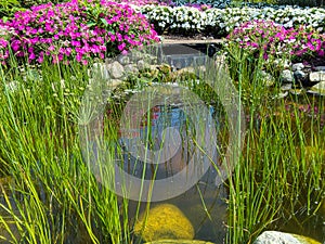 Grass in rock garden pool with waterfalls