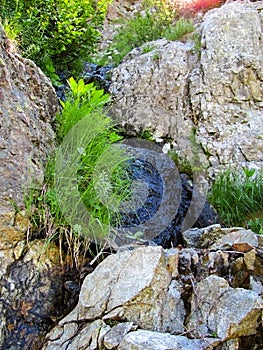 Grass on Rocks Near a Mountain Brook