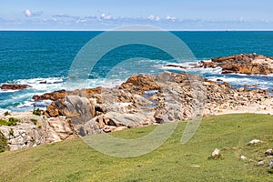 Grass, rocks and sand in the beach photo