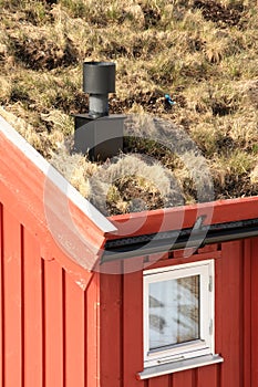 Grass on the roof and chimney
