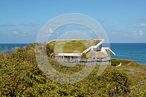 Grass Roof House