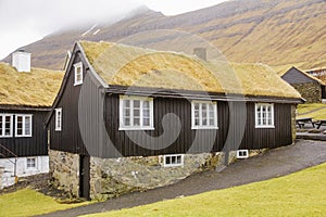 Grass roof house