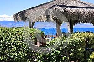 Grass roof hut ocean Maui