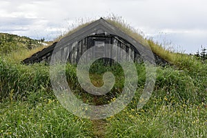 Grass roofed cattle shed photo