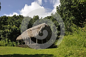 Grass roofed hut