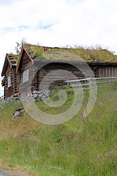 Grass roofed Hut