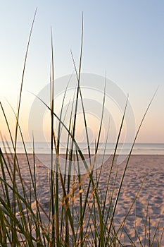 Grass, sand and Baltic see.