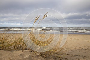 Grass sand dune beach sea view, Baltic Sea