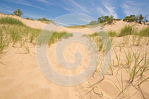 Grass and Sand Dunes