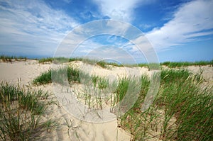Grass on sand dunes on Baltic Sea beach, Latvia, Ventspils