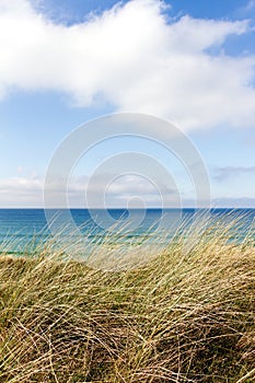 Grass on sand dunes with blue ocean and sky