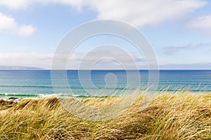 Grass on sand dunes by blue ocean and sky