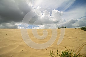 Grass and sand dunes with dutch clouds en sky dutchlight sun