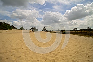 Grass and sand dunes with dutch clouds en sky dutchlight sun