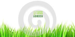 Grass seamless border with fresh green tufts isolated on white background photo