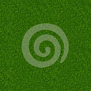 Grass Seamless Pattern