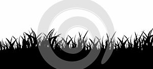 Grass Seamless Silhouette Horizon Background Template Vector Illustration