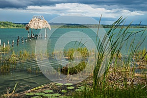 Grass and searoses at dock along the lake shore with birds, El Remate, Peten, Guatemala