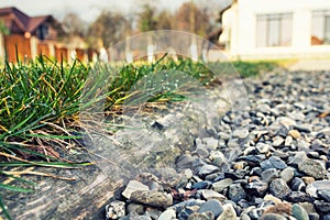 Grass separated from aggregate