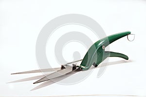 Grass Shears